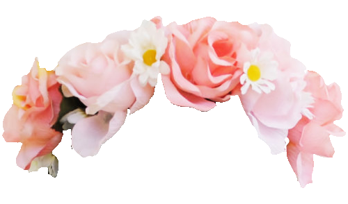 Snapchat Flower Crown Transparent PNG Image