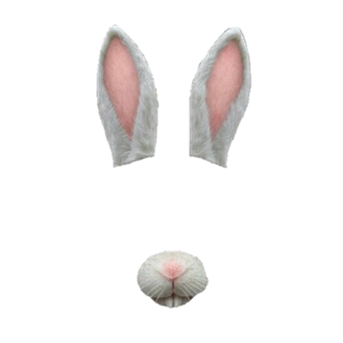 Snapchat Filters Transparent PNG Image