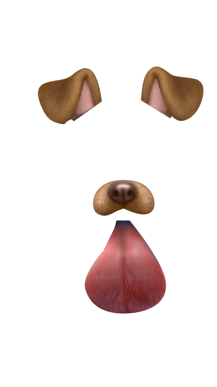 Snapchat Filters File Transparent PNG Image