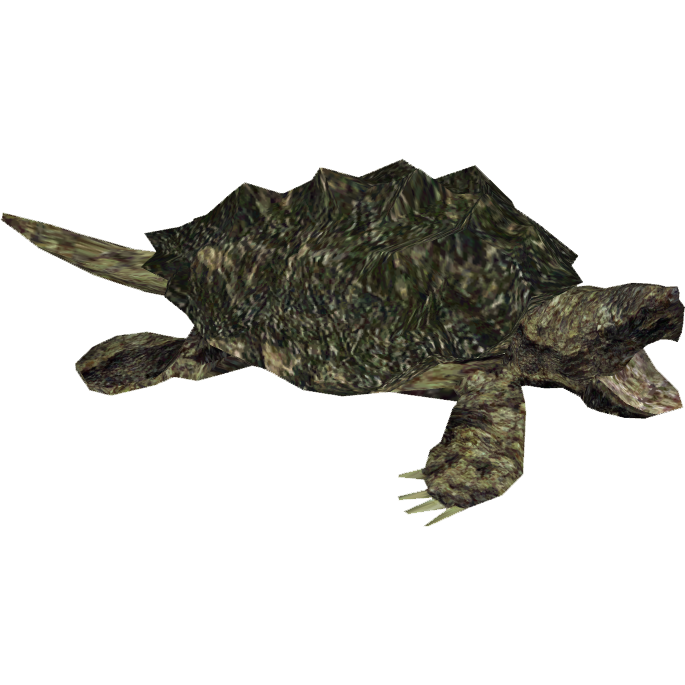 Snapping Turtle Transparent PNG Image