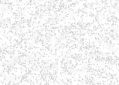 Snow Background Transparent PNG Image