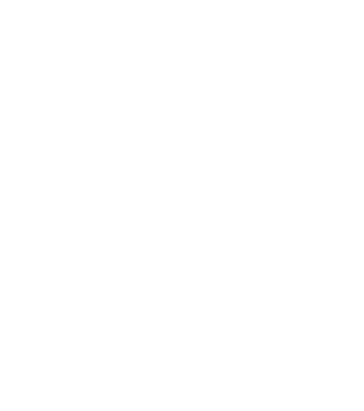 White Snowflake Transparent PNG Image