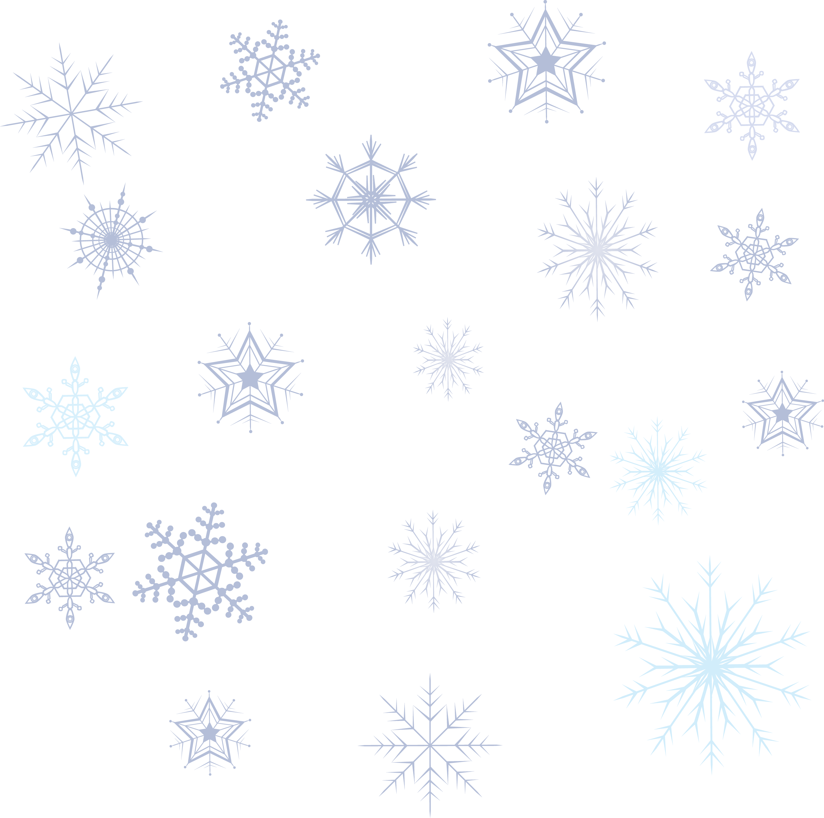Pattern Snowflake Collection Variety Transparent PNG Image