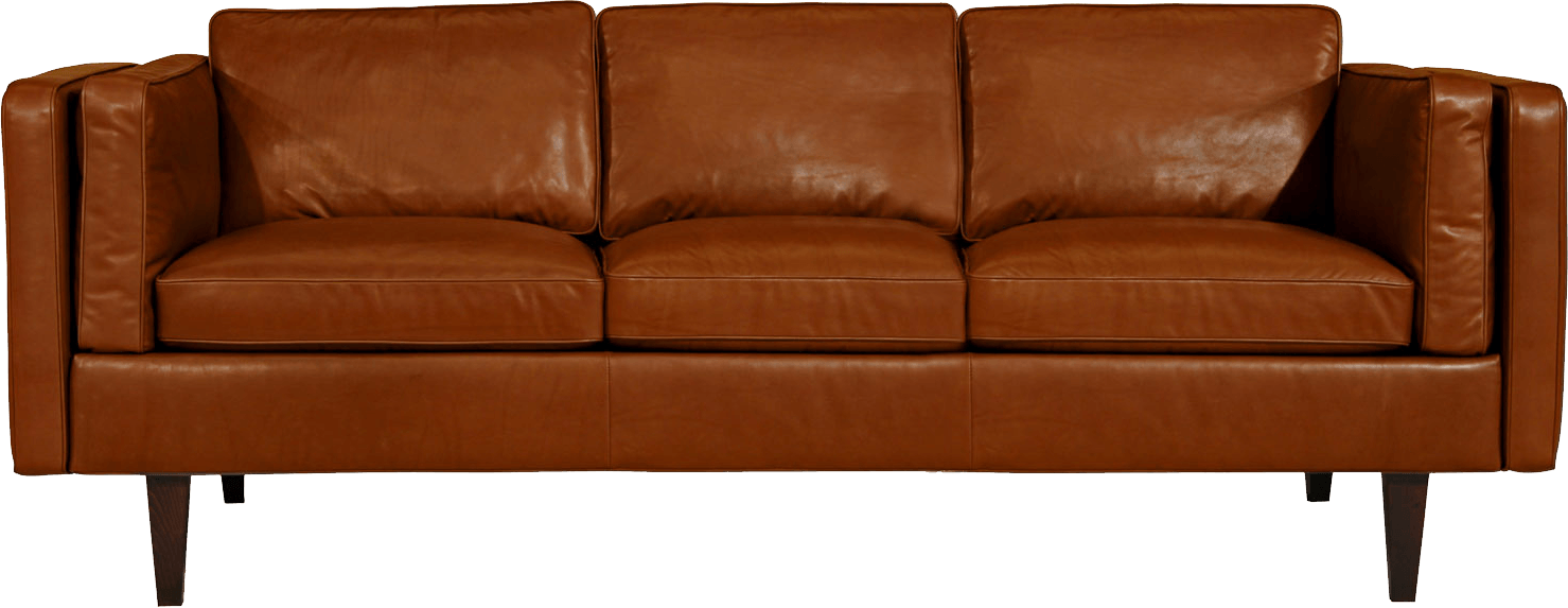 Sofa Transparent PNG Image