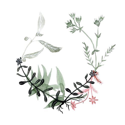 Small Fresh Border Transparent PNG Image