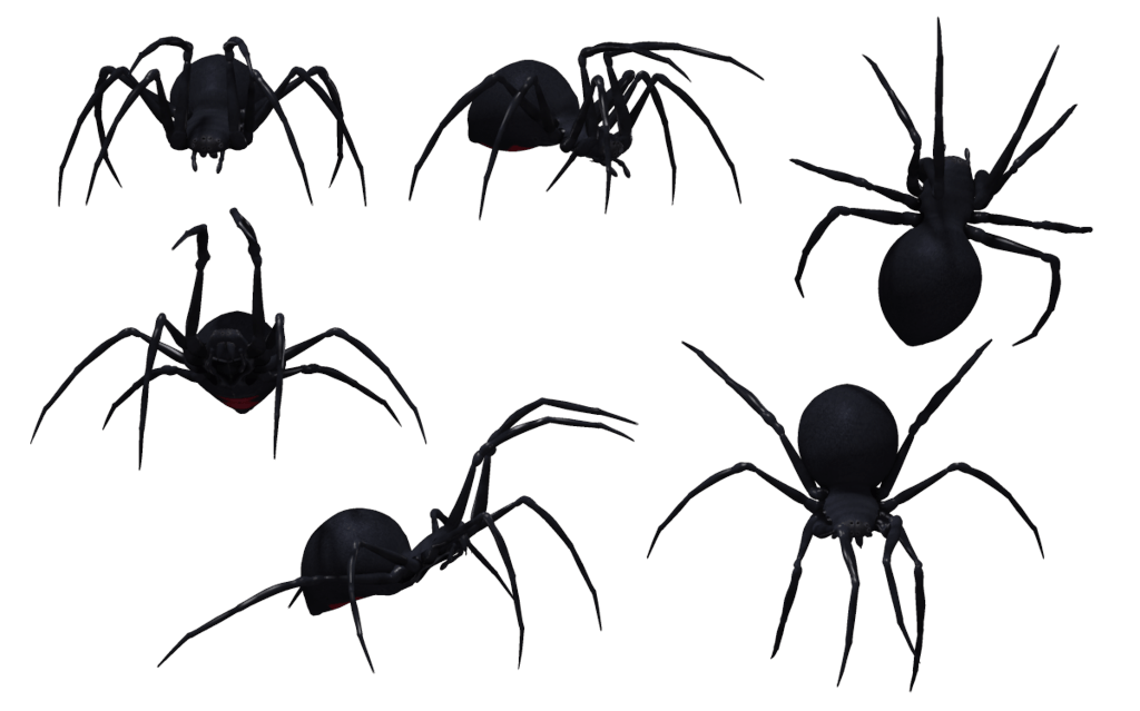 Black Widow Spider Transparent PNG Image