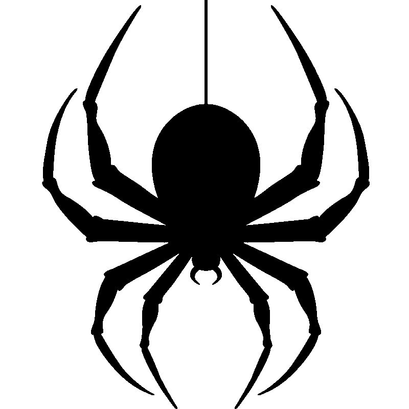 Hanging Spider Transparent PNG Image