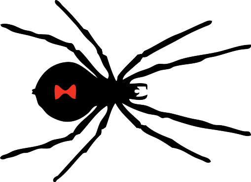 Black Widow Spider Transparent PNG Image