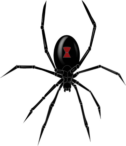 Black Widow Spider Transparent PNG Image