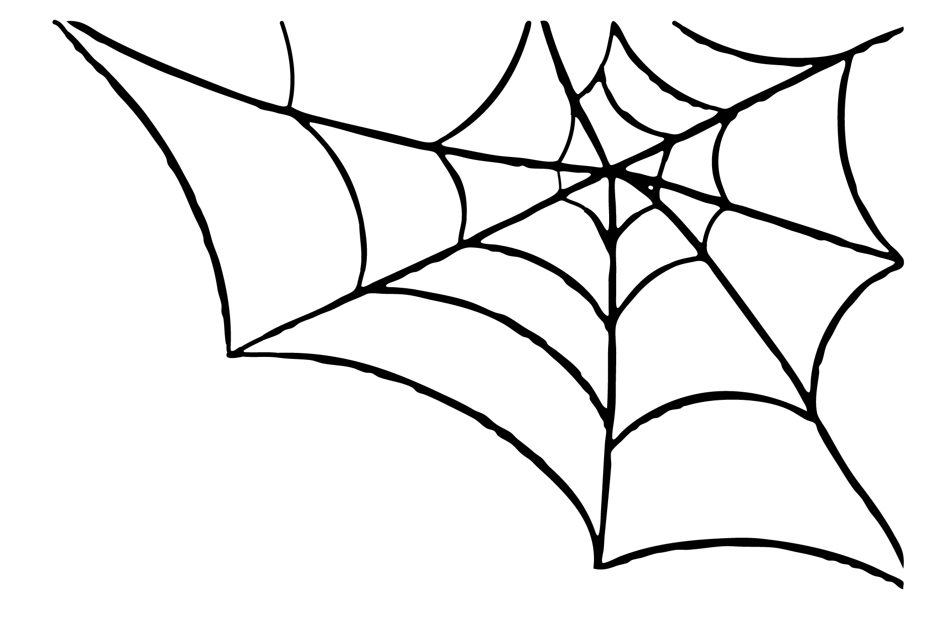 Spider Web Transparent PNG Image