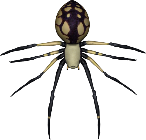 Spider Transparent PNG Image