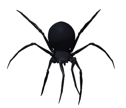 Black Widow Spider Transparent PNG Image