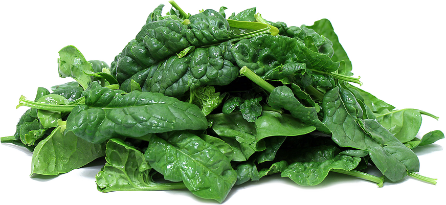 Fresh Green Spinach Transparent PNG Image