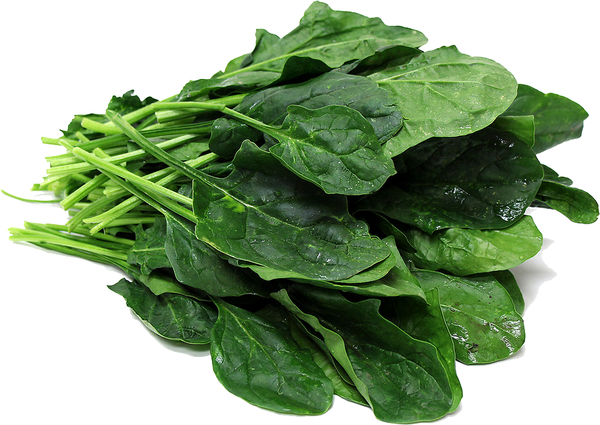Fresh Green Spinach Transparent PNG Image