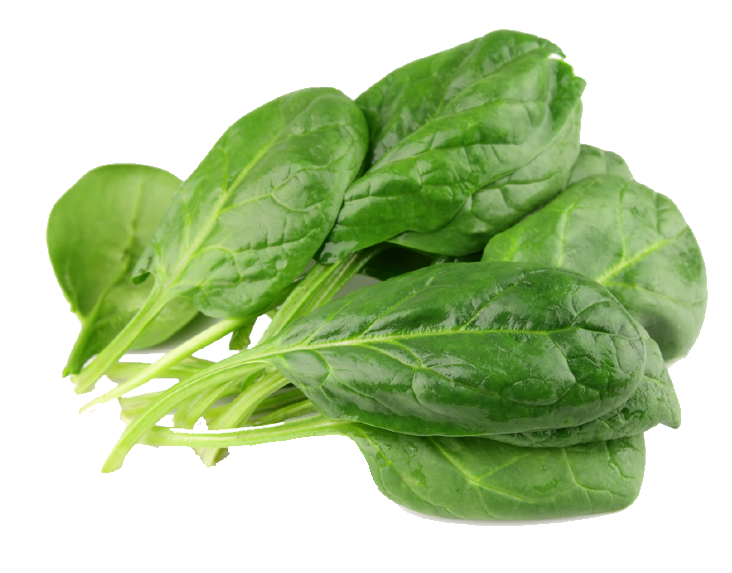 Fresh Green Spinach Transparent PNG Image