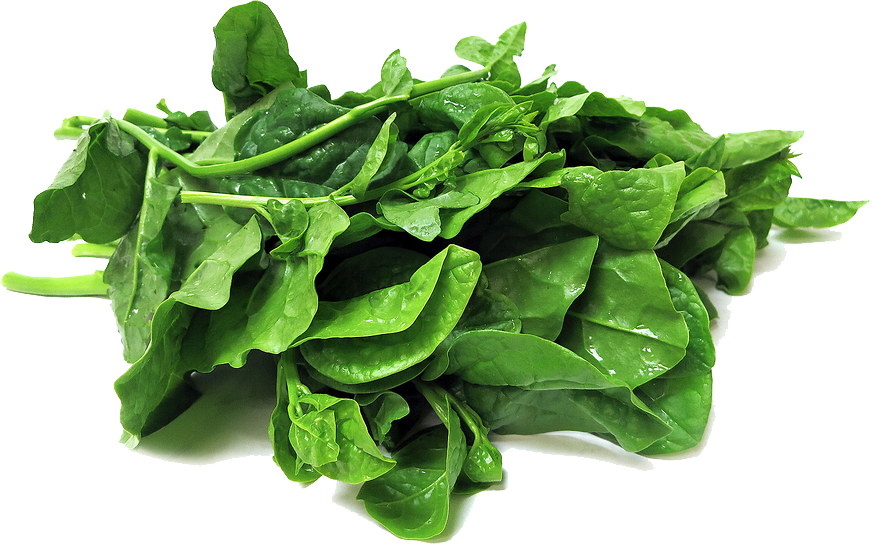 Fresh Green Spinach Transparent PNG Image