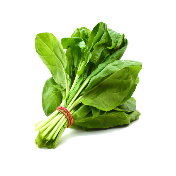 Fresh Green Spinach File Transparent PNG Image