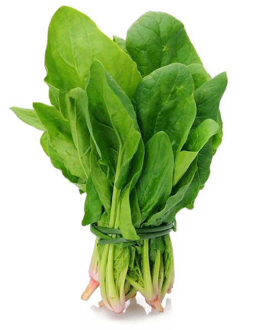Fresh Green Spinach Transparent PNG Image
