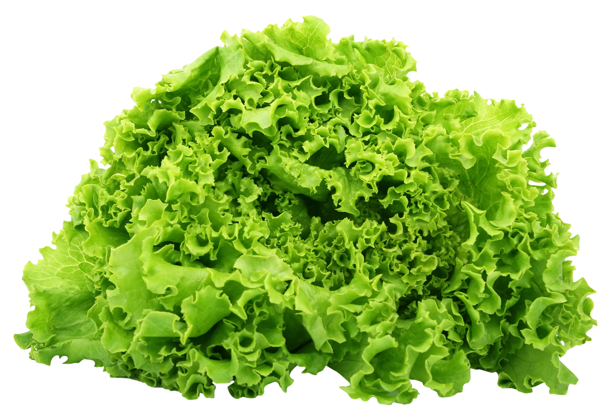 Green Spinach Transparent PNG Image