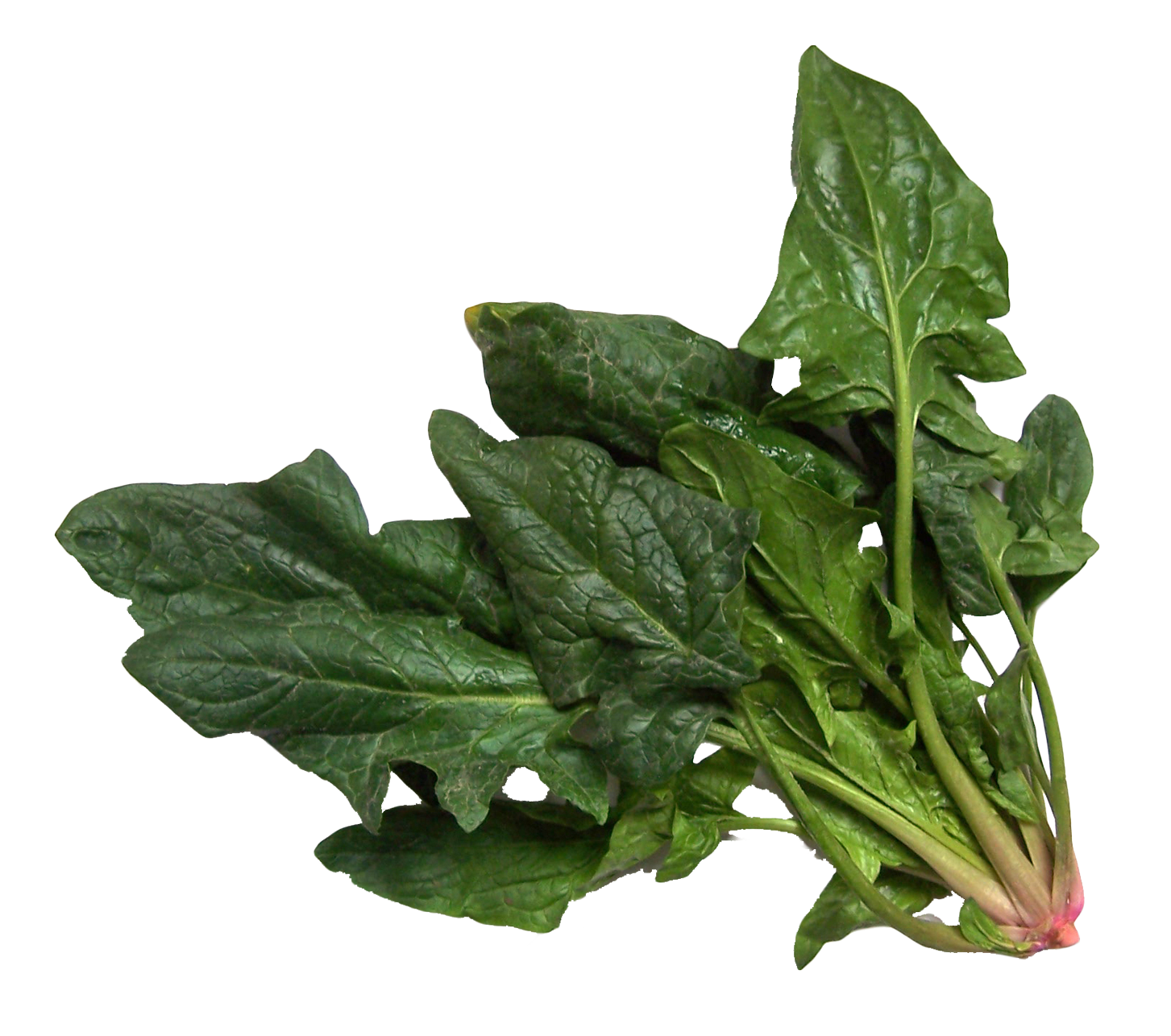 Green Spinach Transparent PNG Image