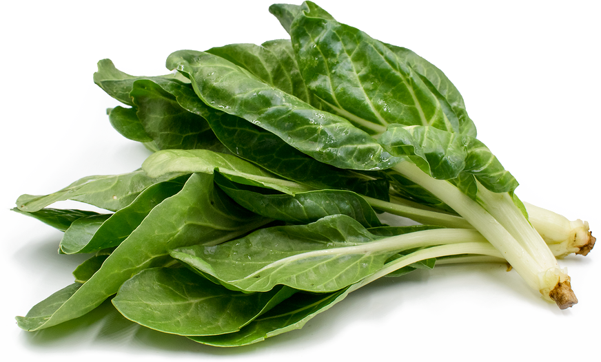 Leaves Green Spinach Transparent PNG Image