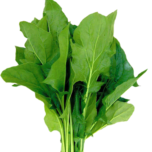 Leaves Green Spinach Transparent PNG Image