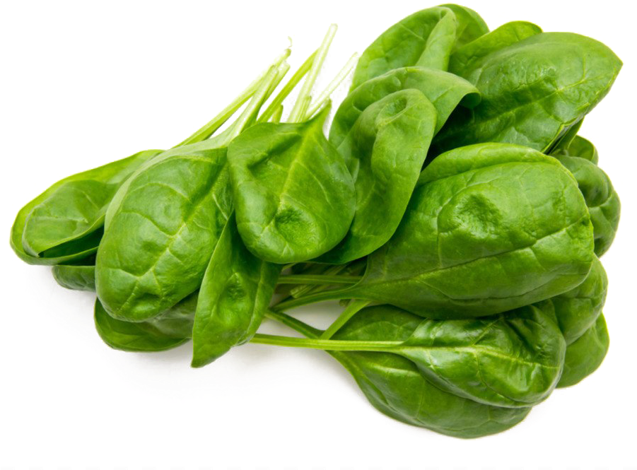 Green Organic Spinach Transparent PNG Image