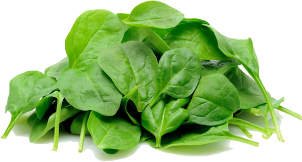 Green Organic Spinach Transparent PNG Image