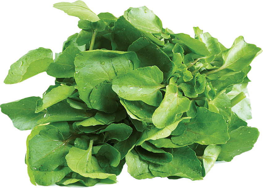 Green Organic Spinach Transparent PNG Image