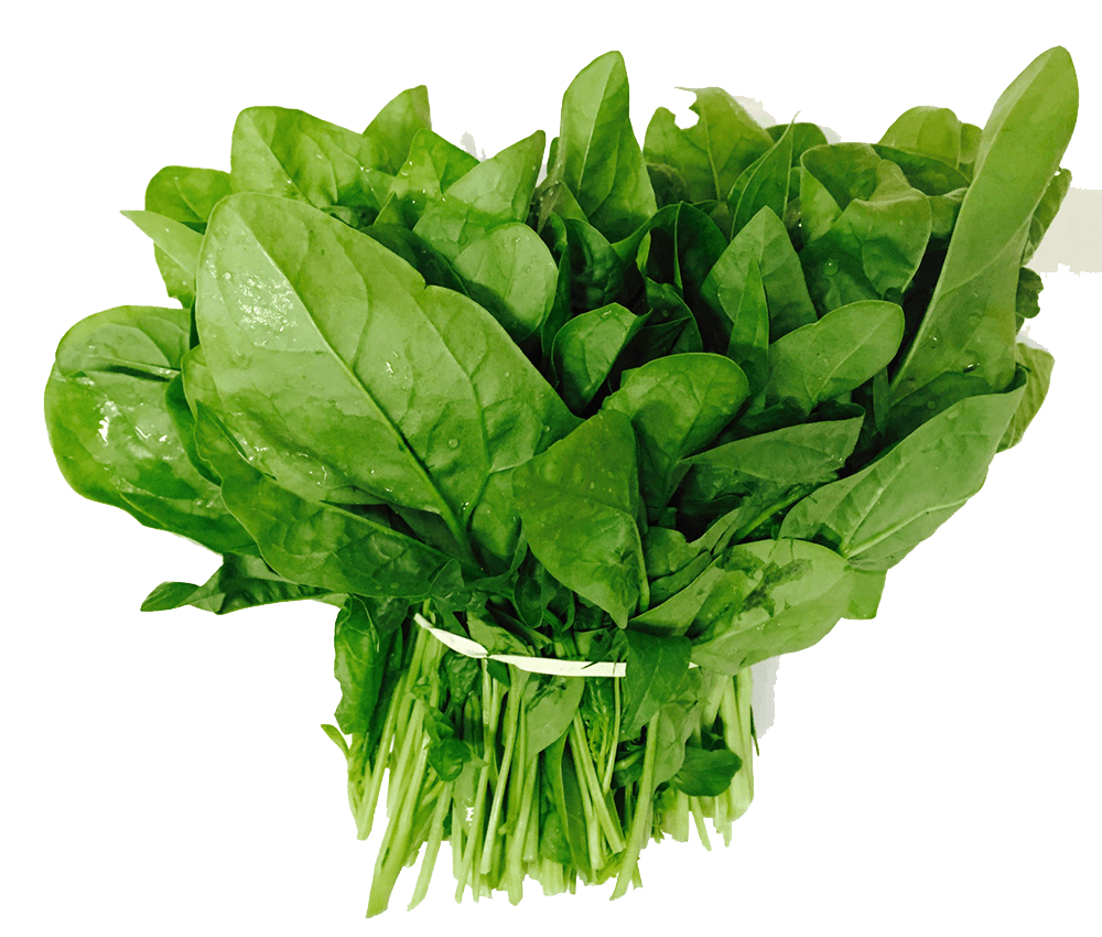 Green Organic Spinach Transparent PNG Image