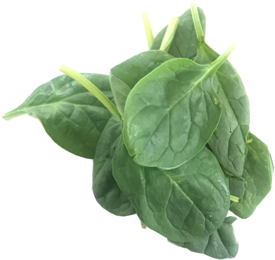 Green Organic Spinach Transparent PNG Image