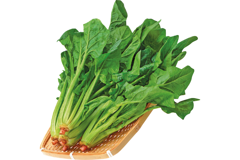 Chinese Spinach Transparent PNG Image