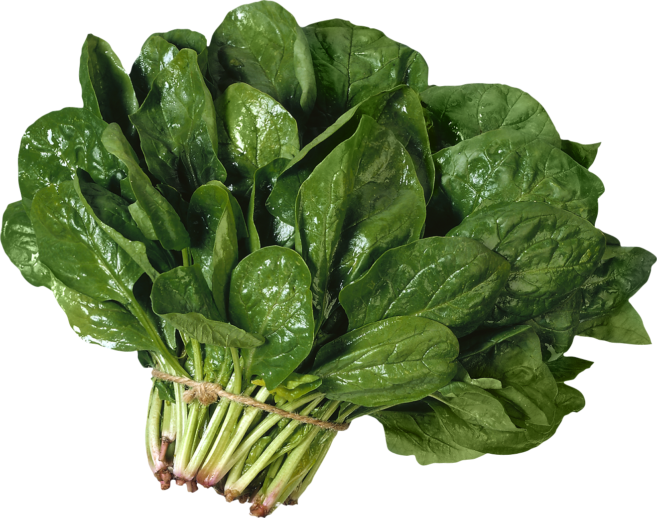 Fresh Chinese Spinach Transparent PNG Image