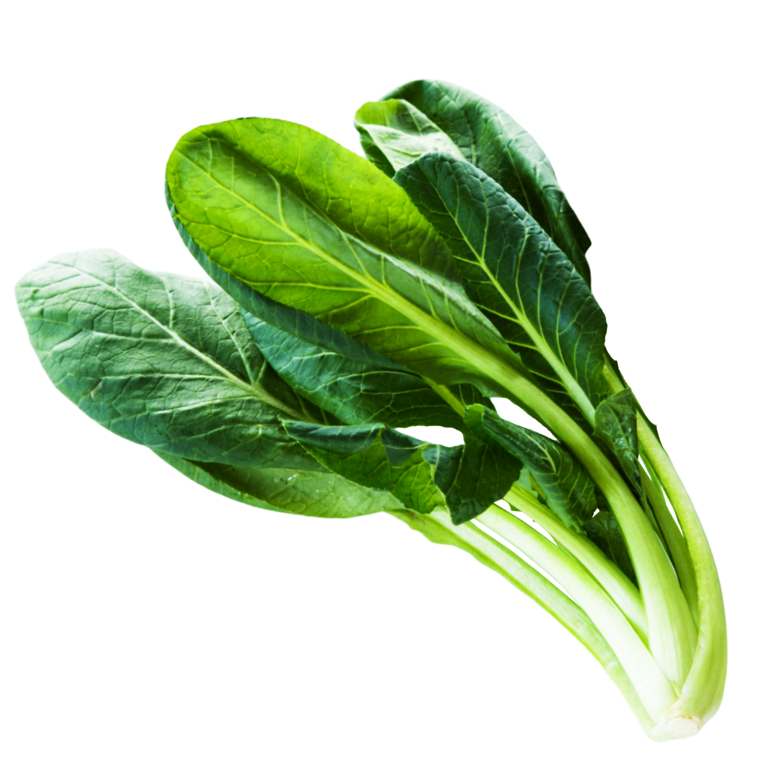 Fresh Chinese Spinach Transparent PNG Image