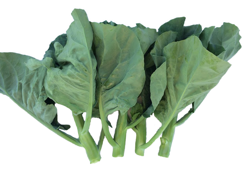 Green Chinese Spinach Transparent PNG Image