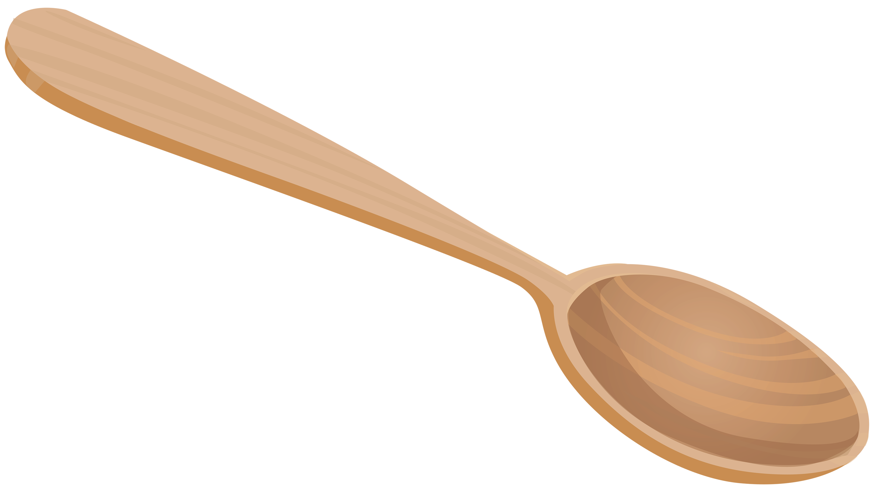 Wooden Spoon Transparent PNG Image