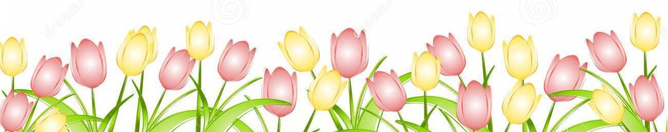 Spring Transparent PNG Image