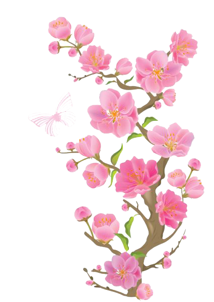 Spring Transparent PNG Image