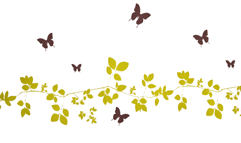 Spring Transparent PNG Image