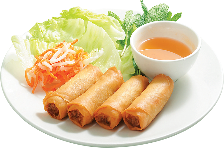 Fresh Rolls Spring File Transparent PNG Image