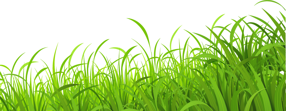 Spring Meadow Transparent PNG Image