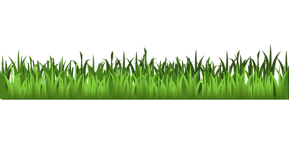 Spring Meadow Transparent PNG Image