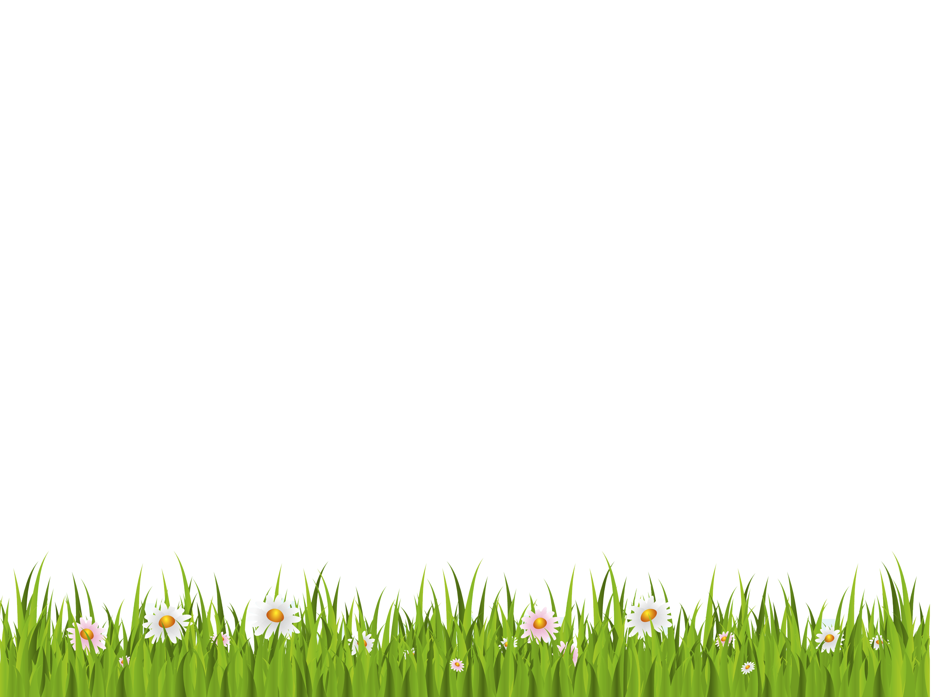 Spring Meadow Transparent PNG Image