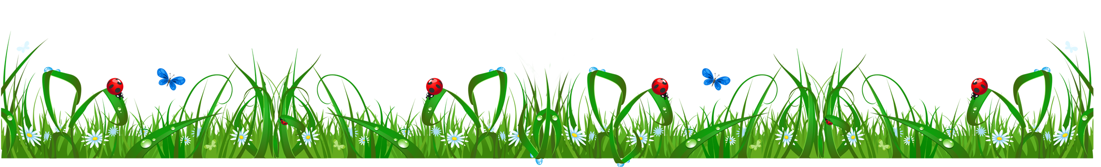 Spring Meadow Transparent PNG Image
