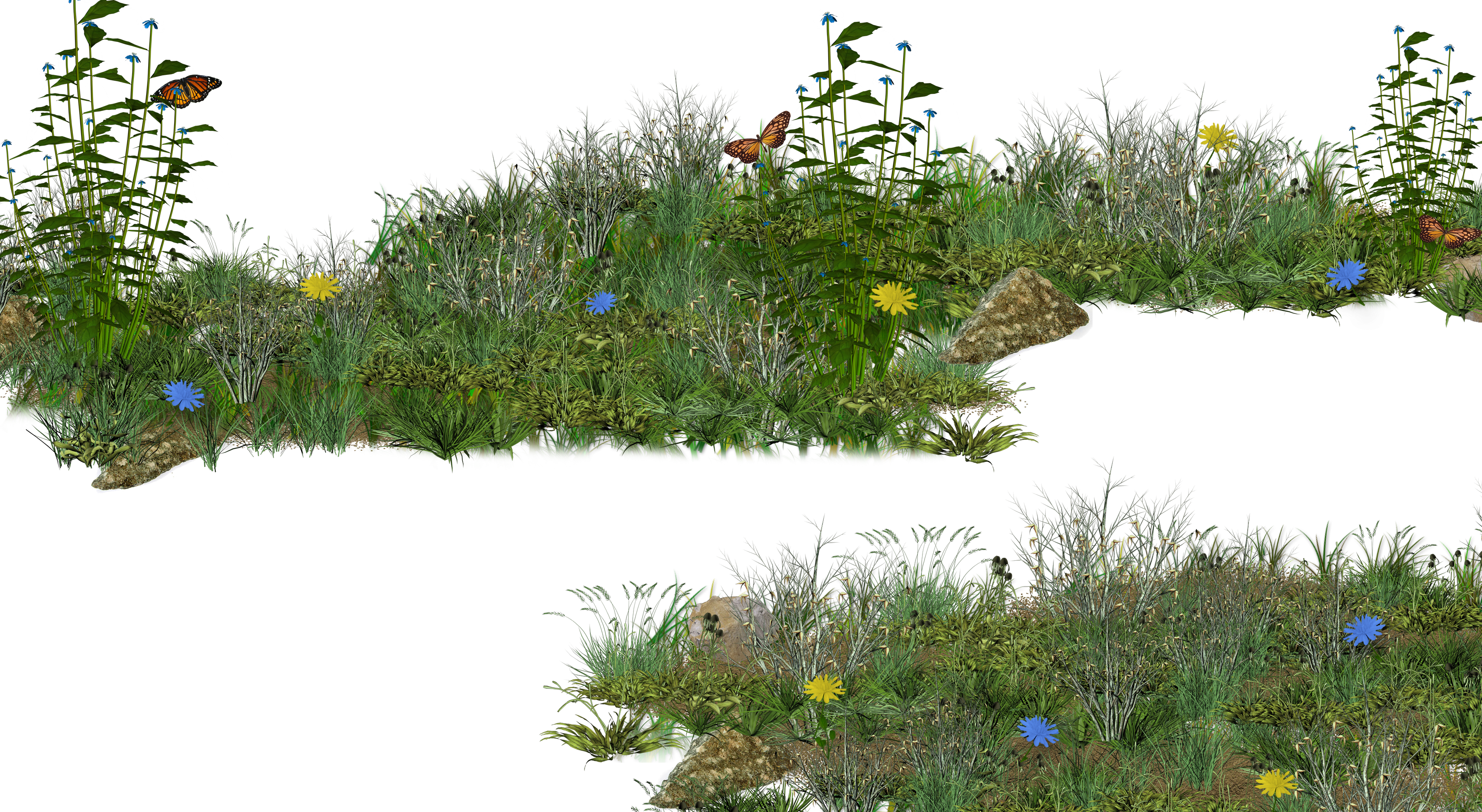 Spring Meadow Transparent PNG Image