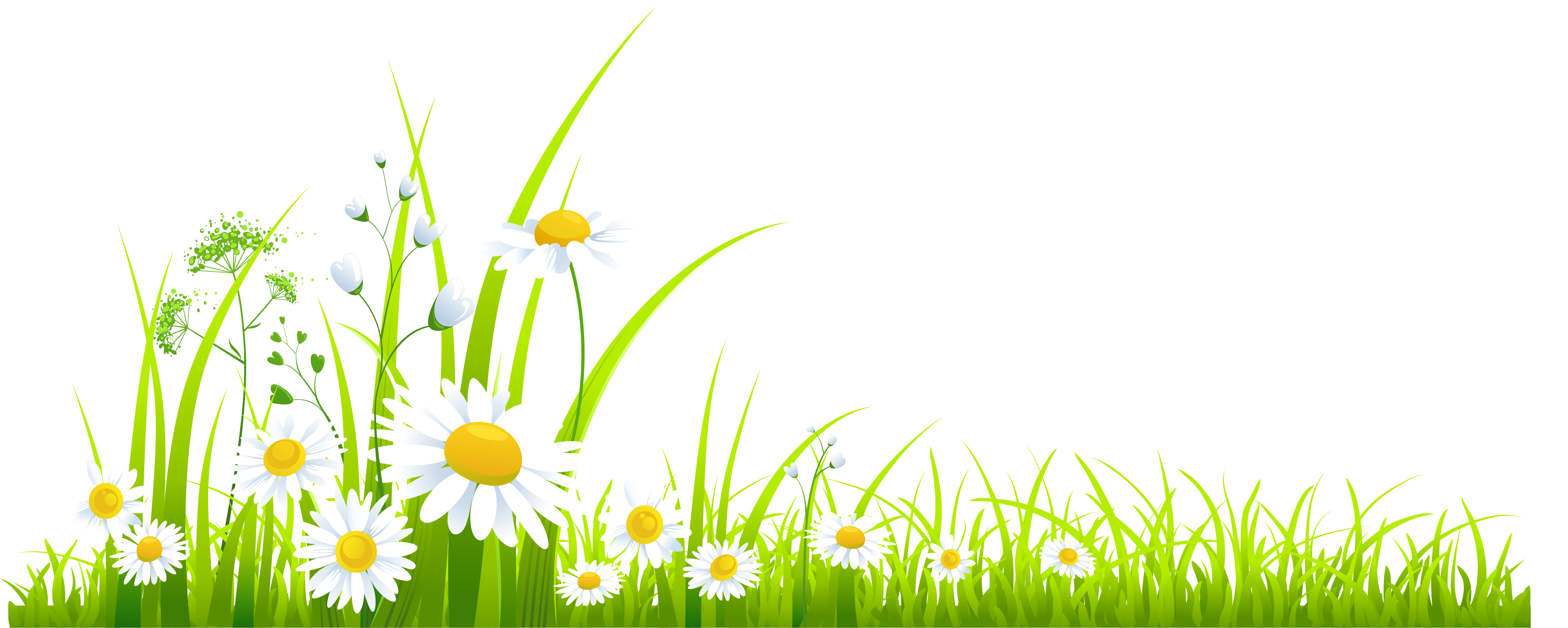 Spring Transparent PNG Image