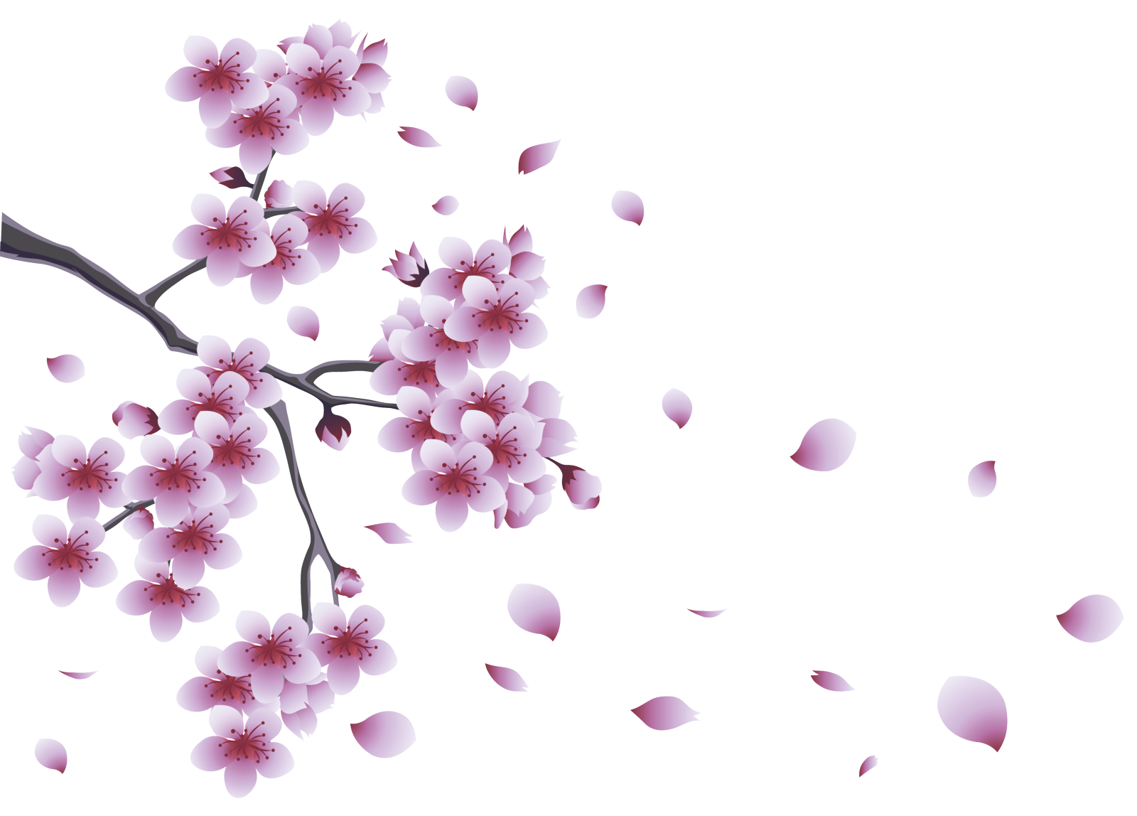 Spring Transparent PNG Image