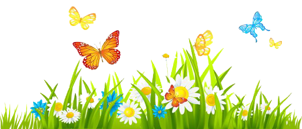 Spring Transparent PNG Image