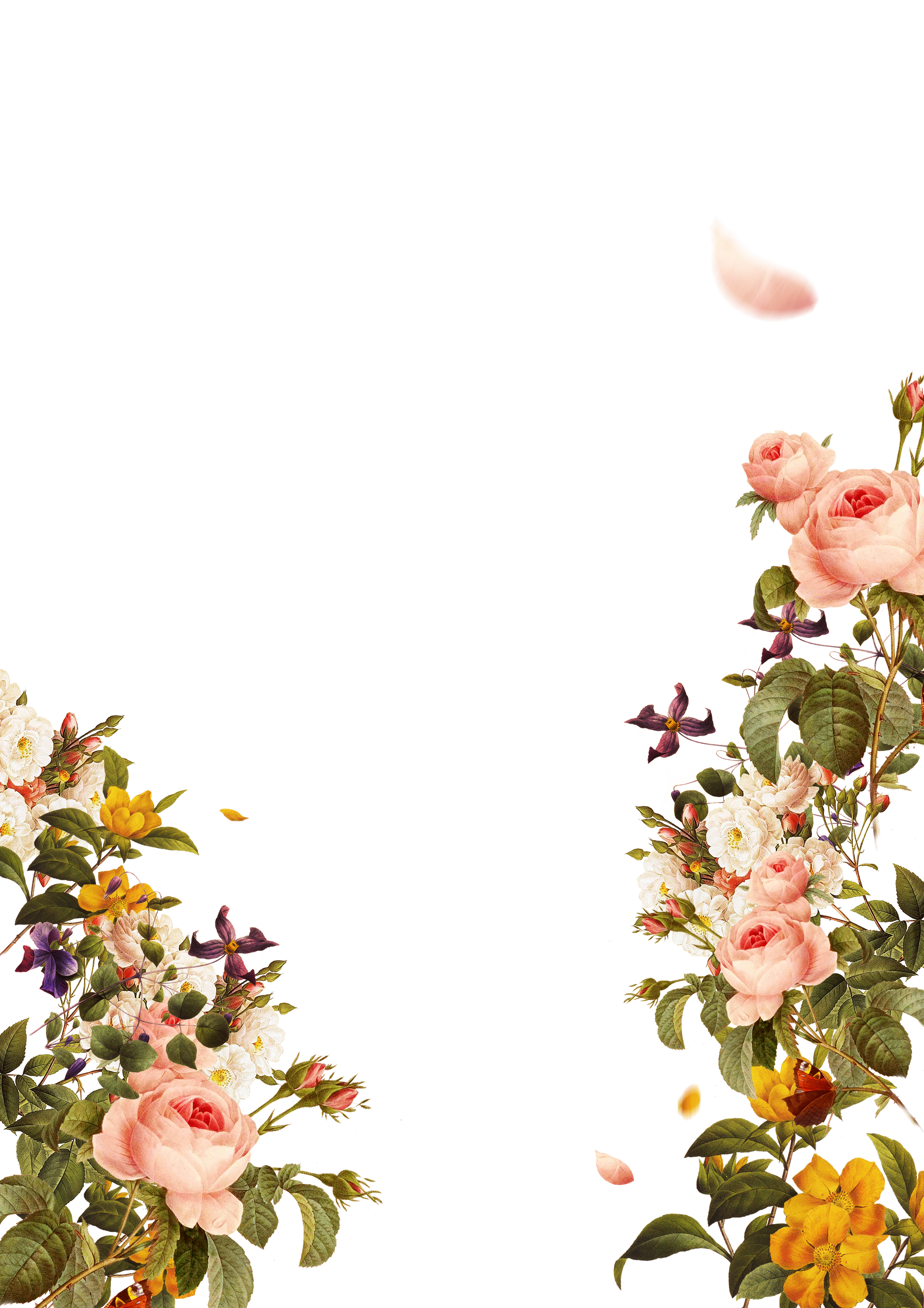 Pink Flower Template Transparent PNG Image