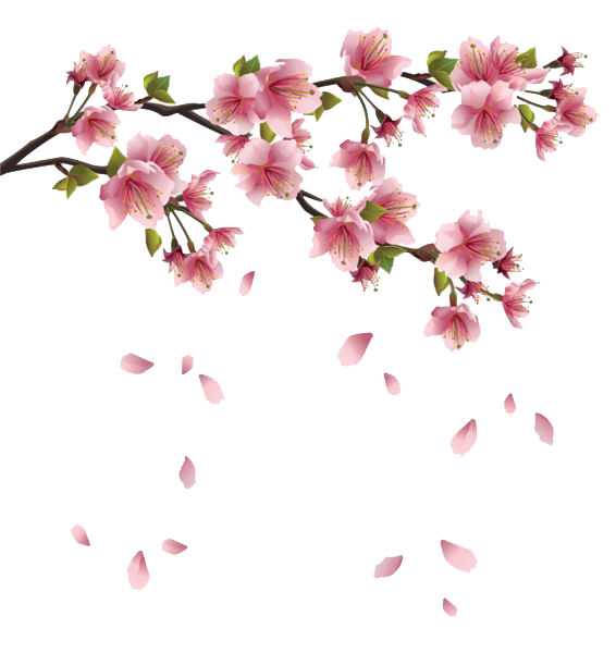 Spring Transparent PNG Image